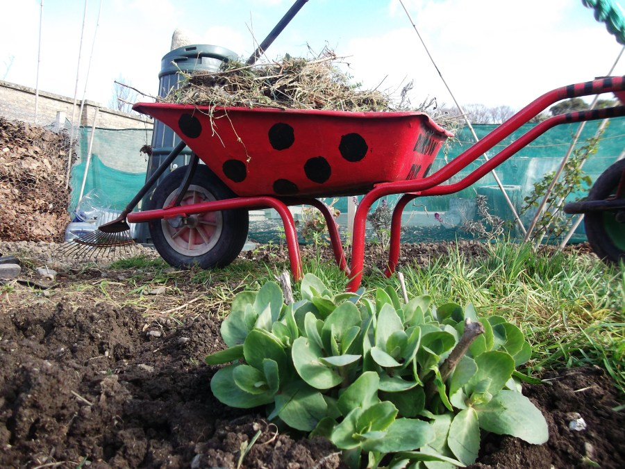 The loaded Barrow Bug