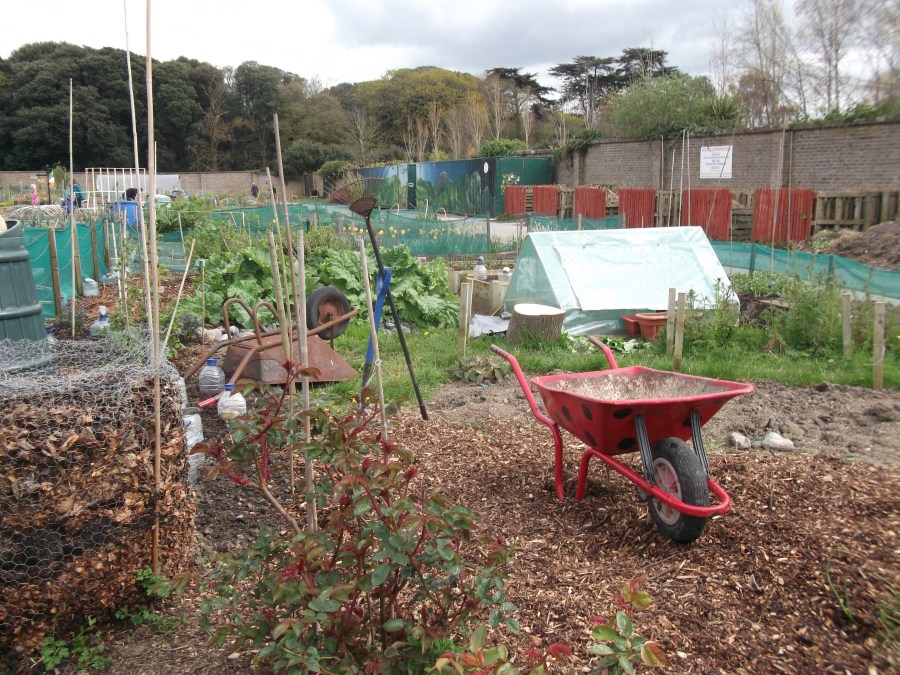 The Barrow Bug &amp; The Work Horse