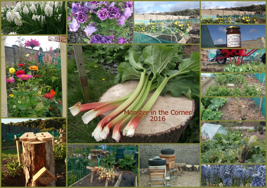 Lock Stock &amp; Two Wonky Barrows