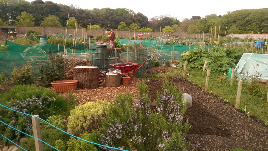 The Monster's Herbs....