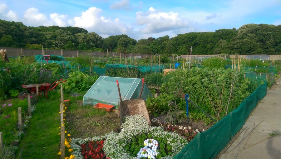 The Monster's Rude Mechanical 2016