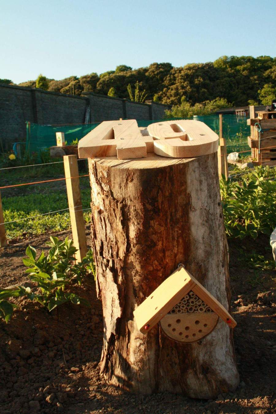 the first mecnanical