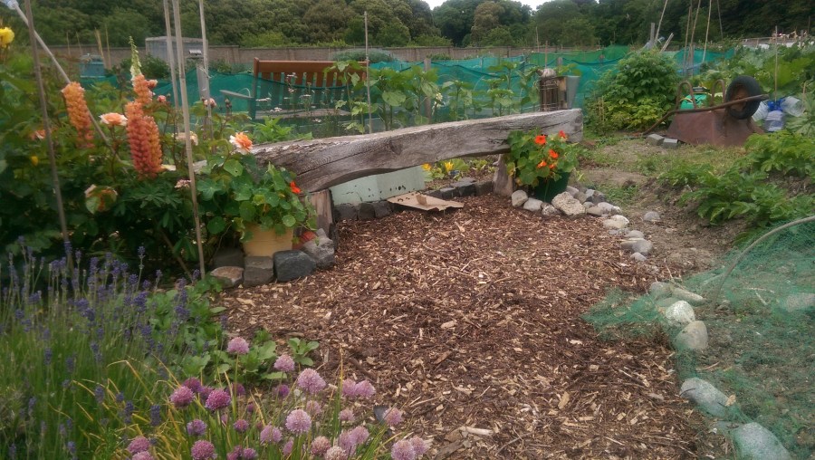 The "beamer" on plot 49