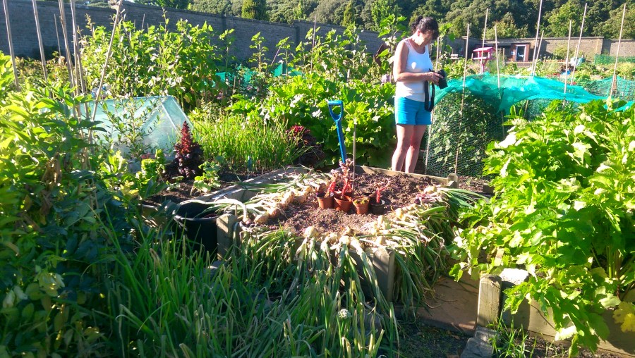 Snapping the Snapper...