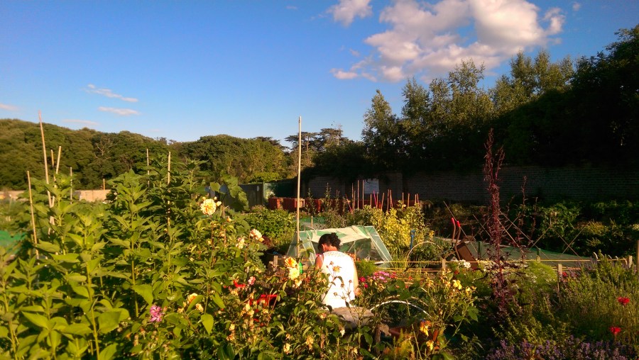 Tipping Day on the Monster in the Corner