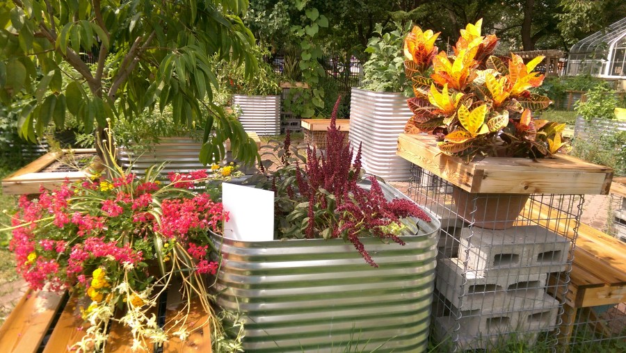 Toronto..container planting in The Allen Garden