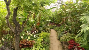 Allen Garden Glasshouse Toronto