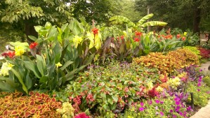 urban planting in the town of Naigara-on-the-Lake...