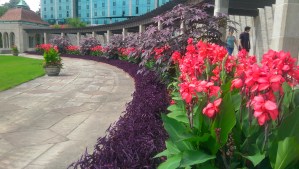 Oakes Garden Niagara City