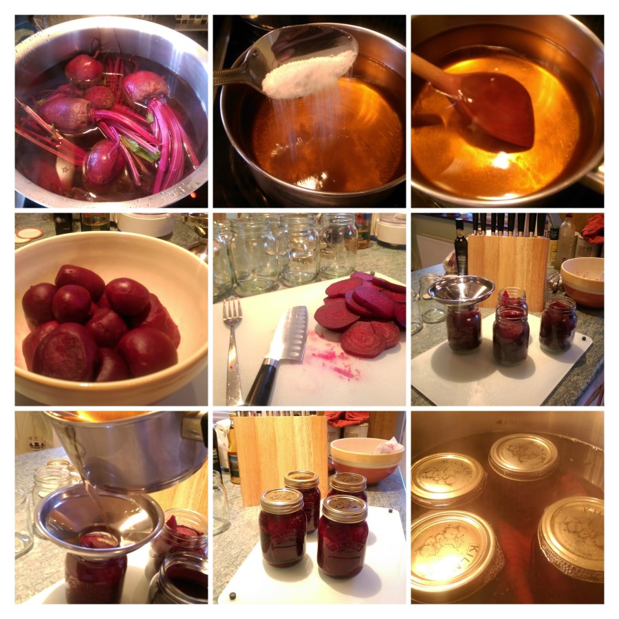 preserving the beets in cider vinegar... 