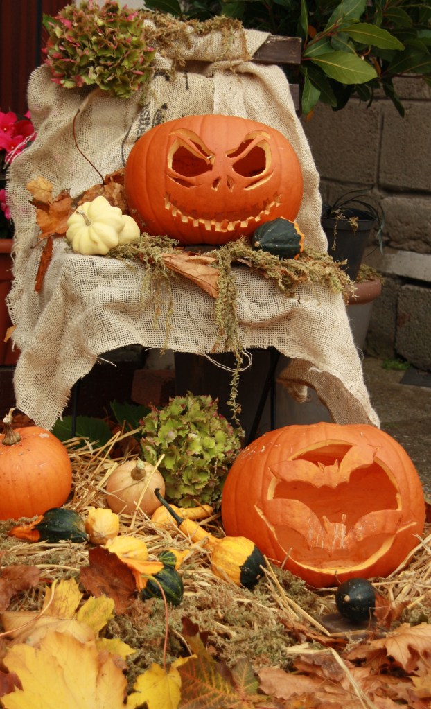 Halloween 2016 The Monster's Display... compliments @janpaulkelly