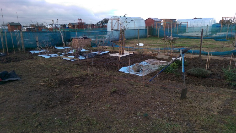 The Monster's New herb bed