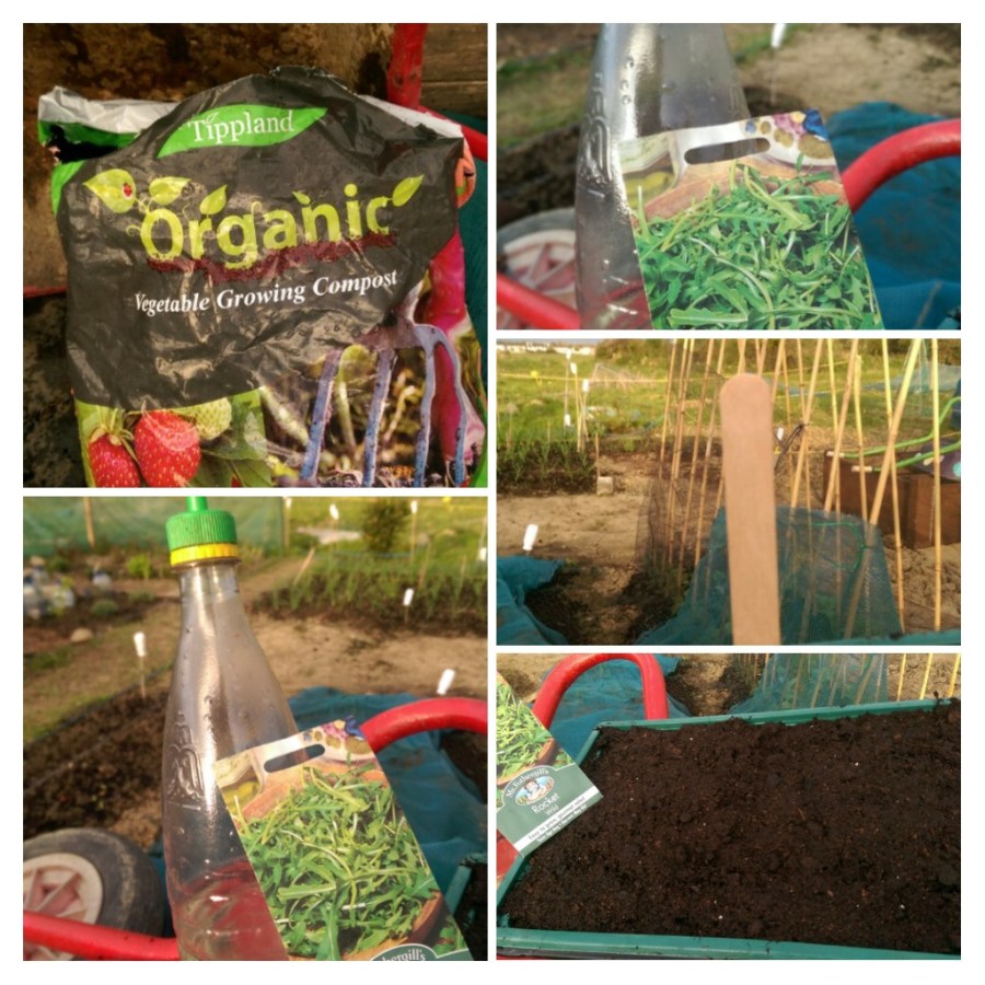 Compost, Seed Tray, seed, Water, Label...components of rocket Science