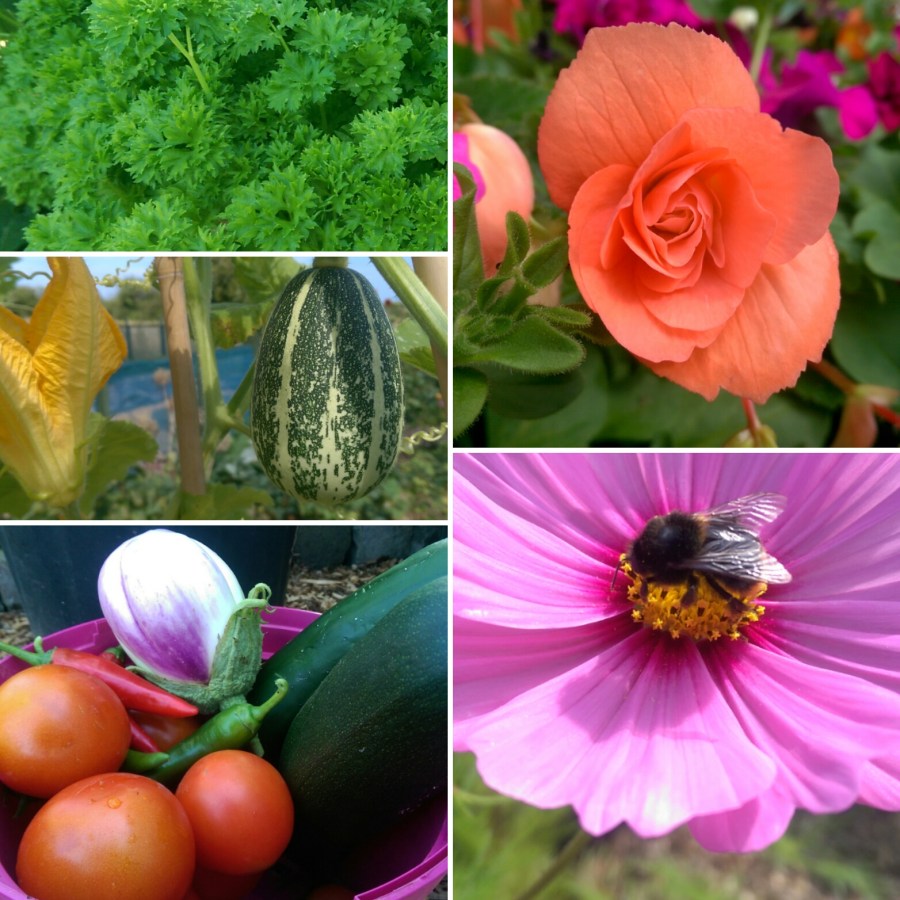 A Monster Collage...